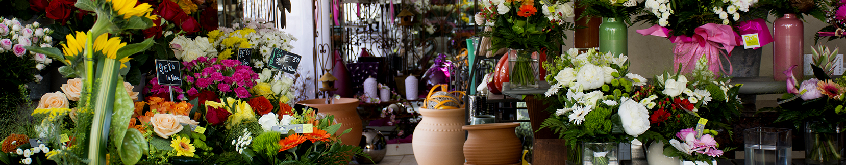 visuel chapitre magasin